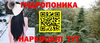 гидра Кинель