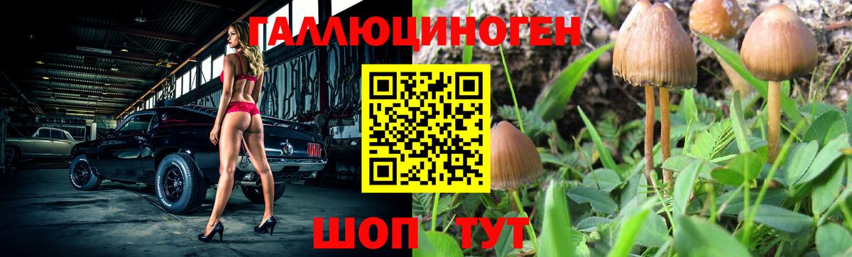 где можно купить   Галлюциногенные грибы мицелий  Вход с VPN  Дмитров 