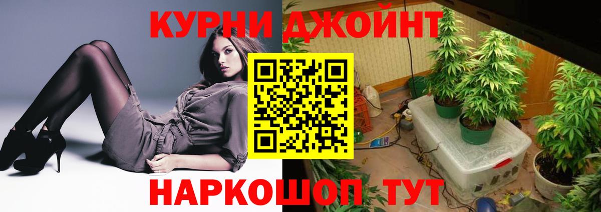 Бошки марихуана семена Дмитров